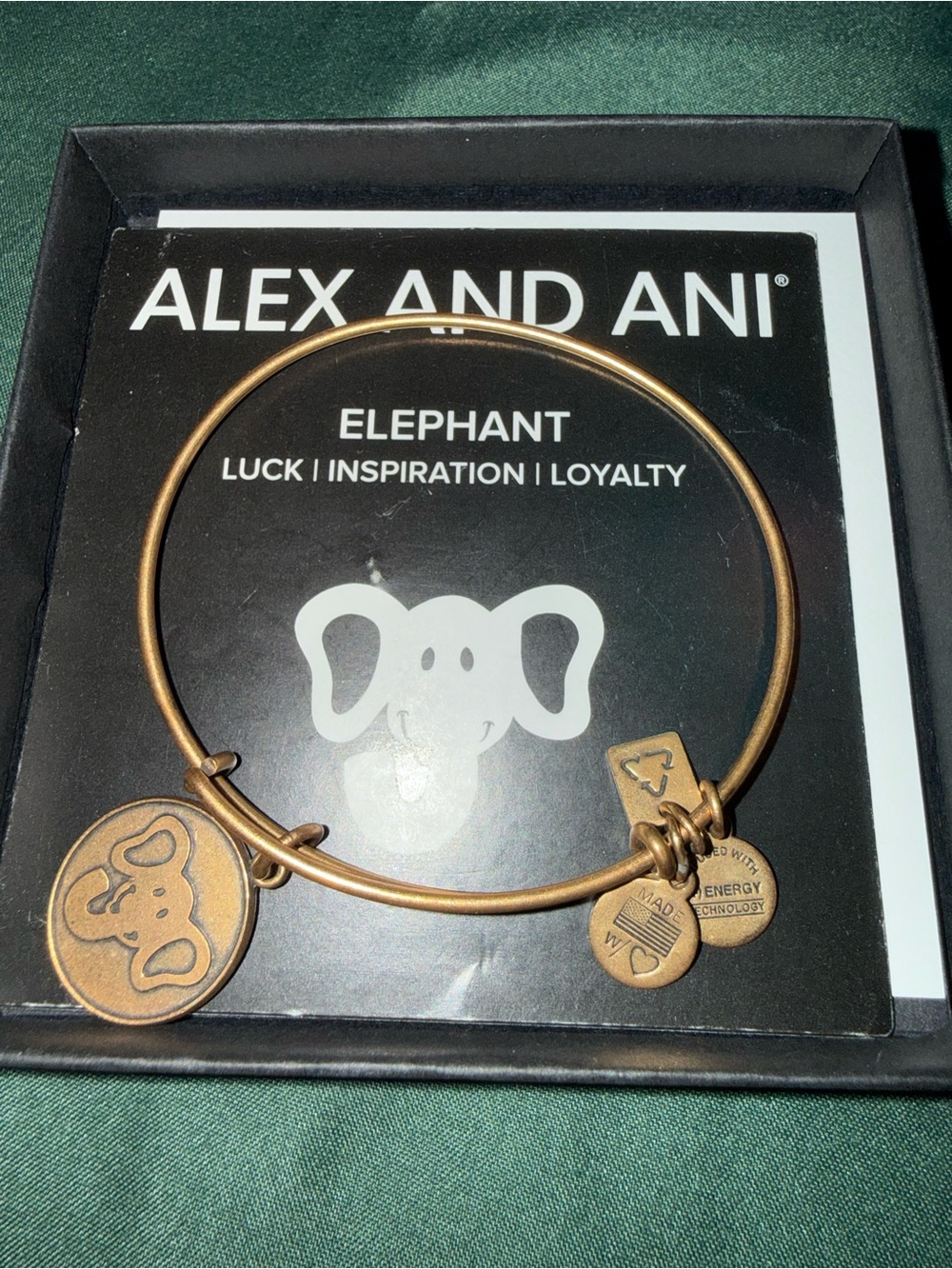 Alex and Ani Bronze Elephant Charm Bangle